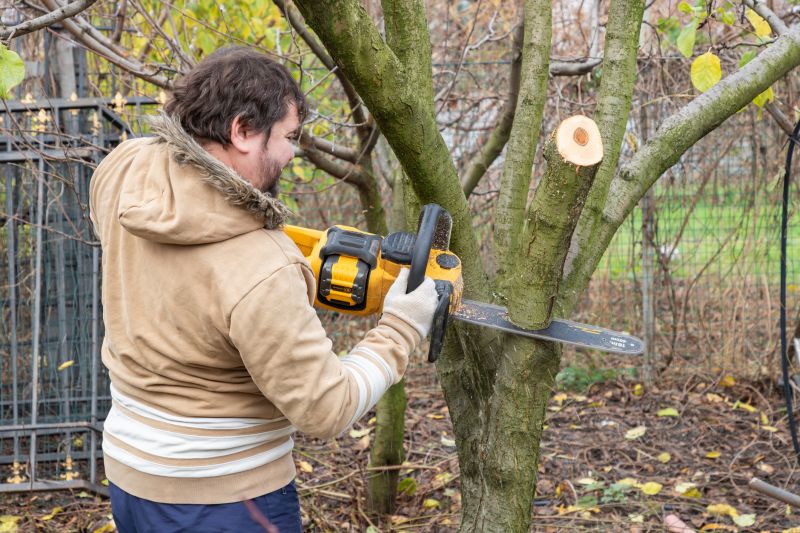 Tree Trimming
